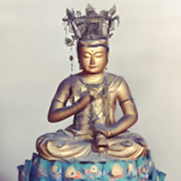 Kongo-Satta