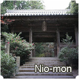 Nio-mon