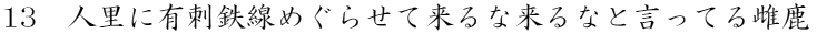 lɗLhS߂点ėȗȂƌĂ鎓