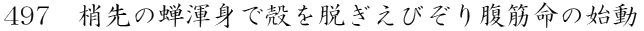 ̐ӐgŊkEт蕠ؖ̎n