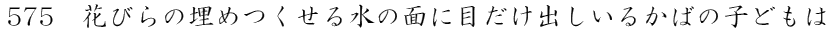 Ԃт̖߂鐅̖ʂɖڂo邩΂̎qǂ