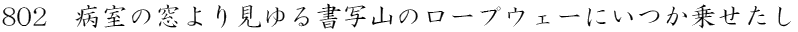 ȃ茩鏑ʎR̃[vEF[ɂ悹