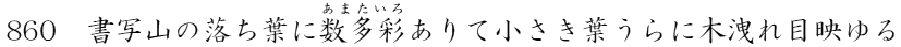 ʎR̗tɐʂďtɖ؉kډf